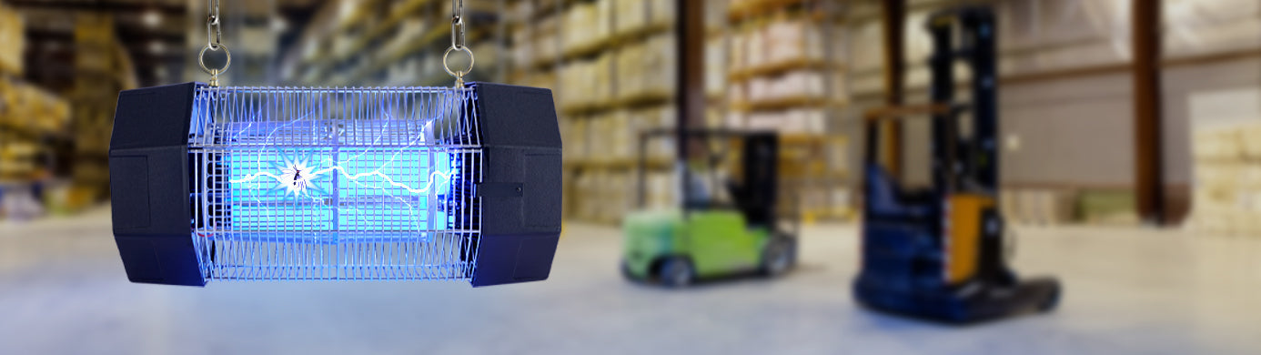 Insect Control for Warehouses and Loading Docks: What Actually Works