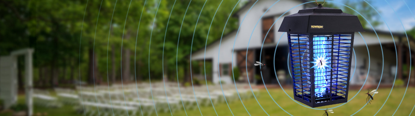 How to Keep Bugs Away at Outdoor Weddings and Events (Without Ruining the Atmosphere)