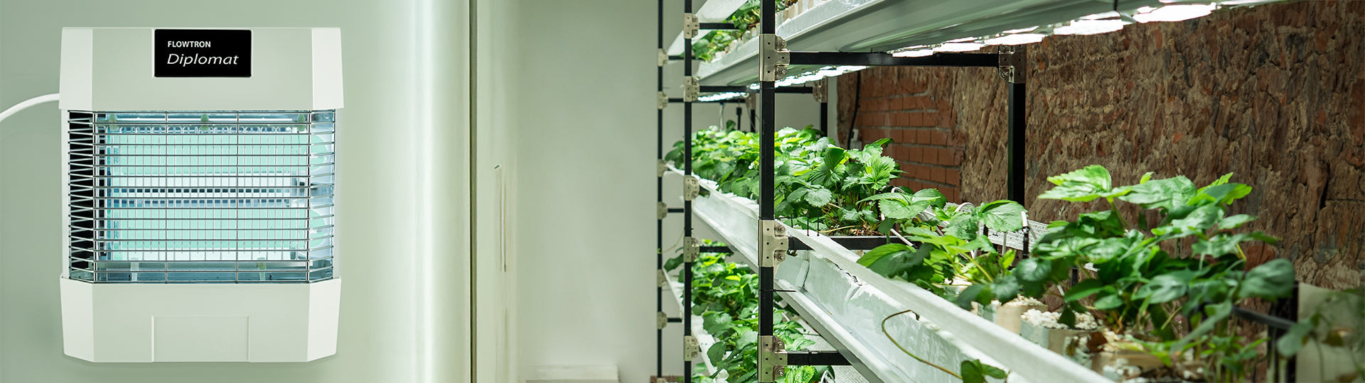 Why Indoor Farms Are Switching to Bug Zappers for Chemical-Free Pest Control